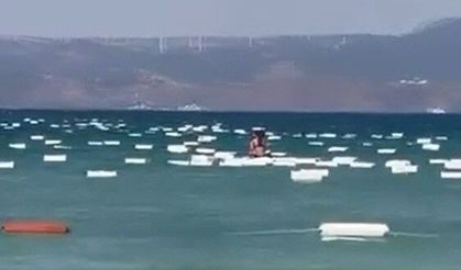 Çeşme’de denizi köpük kutular bastı