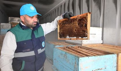 Manisa’da arıcıların peteklerine eksi 30 derecelik koruma
