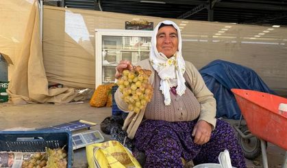 Çivril’in meşhur Koçak üzümü tezgâhlarda