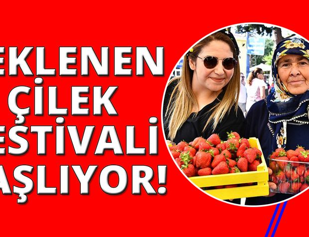İzmir'de Çilek Festivali binlerce kişiyi buluşturacak