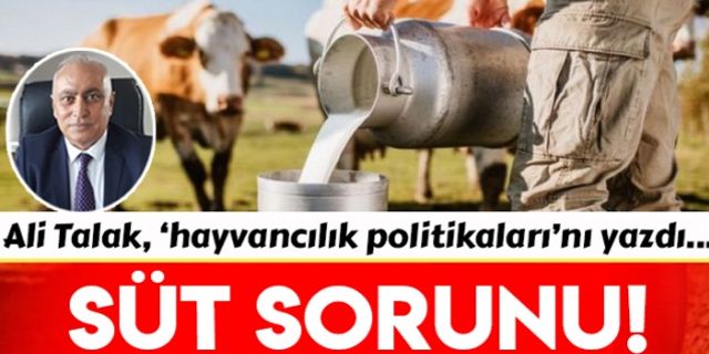 Süt sorunu!