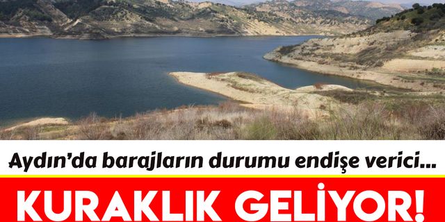 Aydın'da kuraklık alarmı! Barajlar endişe verici