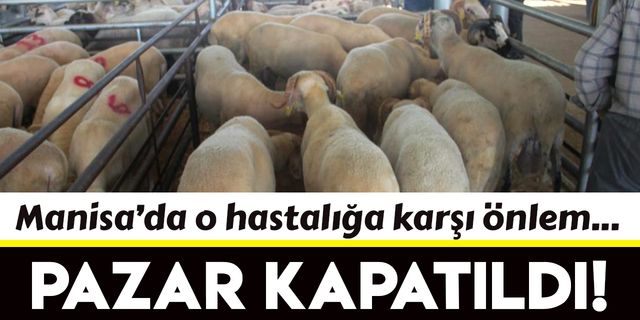 Manisa'da canlı hayvan pazarı ikinci emre kadar kapatıldı