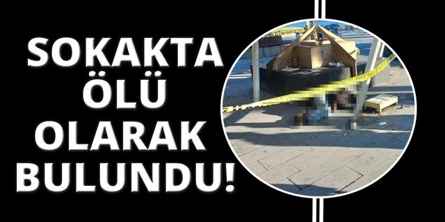 Sokakta yaşıyordu, meydanda ölü olarak bulundu