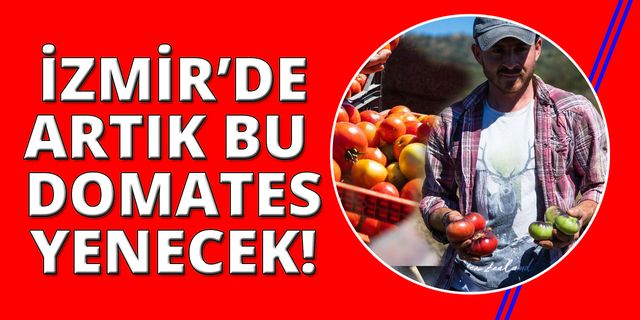 İzmirliler artık Yamanlar Domatesi yiyecek