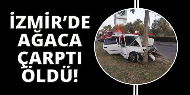 İzmir'de ağaca çarpan sürücü hayatını kaybetti