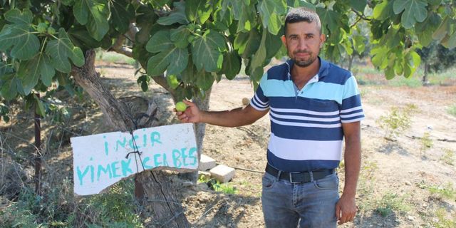 Bahçesine öyle bir not astı ki, gören şaşırdı kaldı