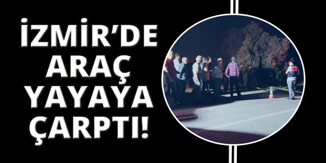  Otomobilin çarptığı yaya hayatını kaybetti