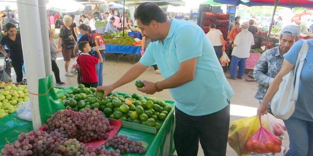 Mandalina tezgahlarda yerini aldı