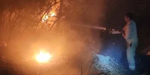 İzmir'de ormanlık alanda yangın çıktı!