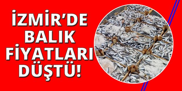 İzmir'de balık fiyatları düştü!