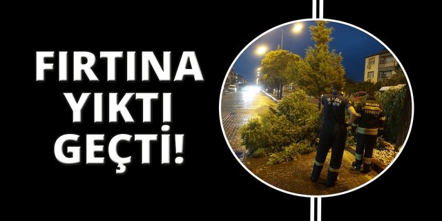 Manisa’da fırtına ağaçları devirdi