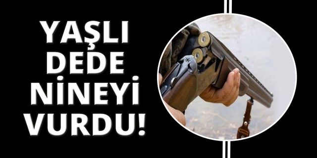İzmir'de yaşlı çiftin tartışması ölümle bitti
