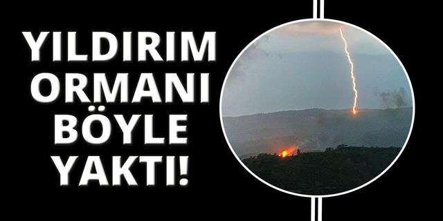 Muğla'da düşen yıldırım ormanı böyle yaktı