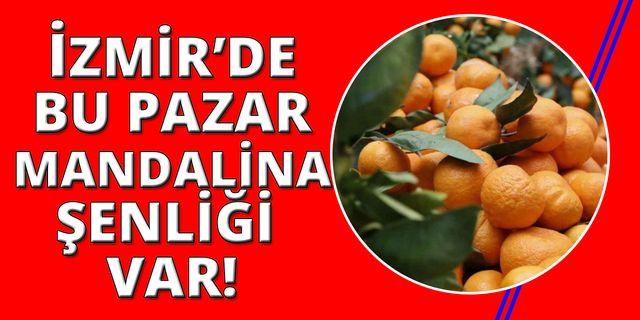 İzmir'de hafta sonu mandalina şenliği var