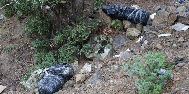  İzmir’de ormanlık alanda çöp poşetinde köpek ölüsü bulundu