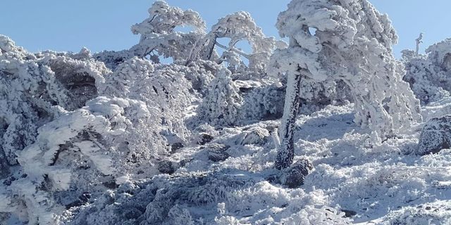  Kazdağları’nda ağaçlar buz tuttu