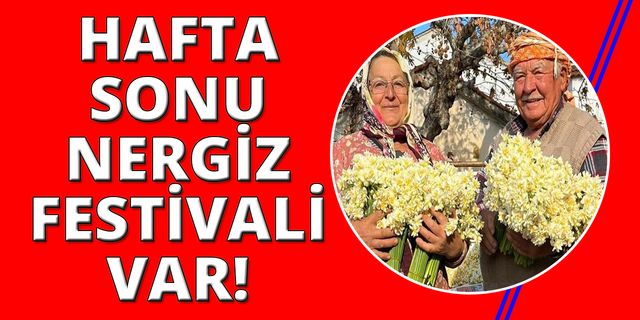 İzmir Karaburun Nergiz Festivali başlıyor