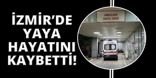 İzmir'de aracın çarptığı yaya hayatını kaybetti!