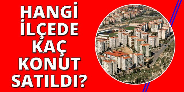 İzmir'de Şubat ayından hangi ilçede kaç konut satıldı?