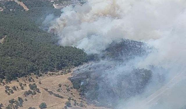 İzmir'de orman yangını: Sabuncubeli Tünelleri trafiğe kapandı