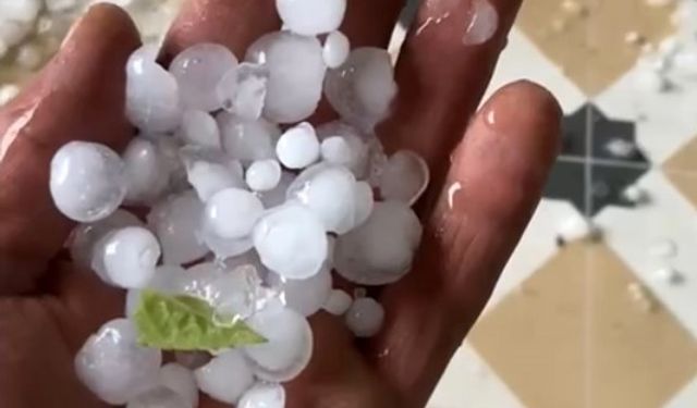 Akhisar'da etkili olan dolu yağışı ürünlere zarar verdi