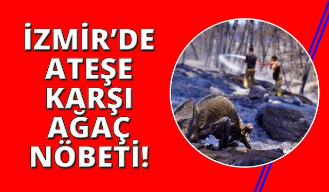 İzmir'in ateş savaşçıları ağaçlar için nöbette