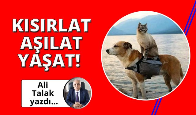 Öldürme! Kısırlaştır-aşılat-yaşat!