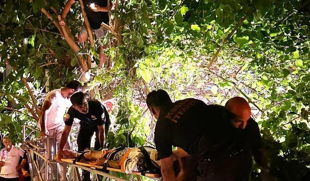 Aracın çarptığı motosiklet sürücüsü 5 metrelik ağaçta asılı kaldı