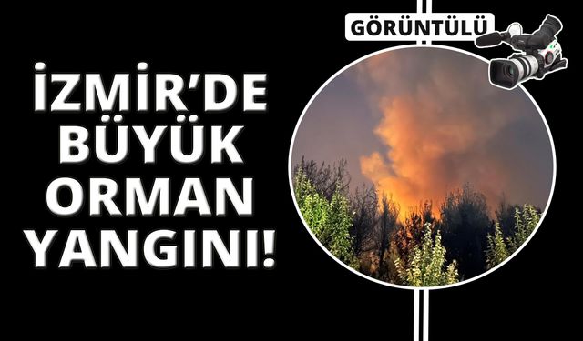 İzmir'de Buca başlayan orman yangını Gaziemir'e sıçradı