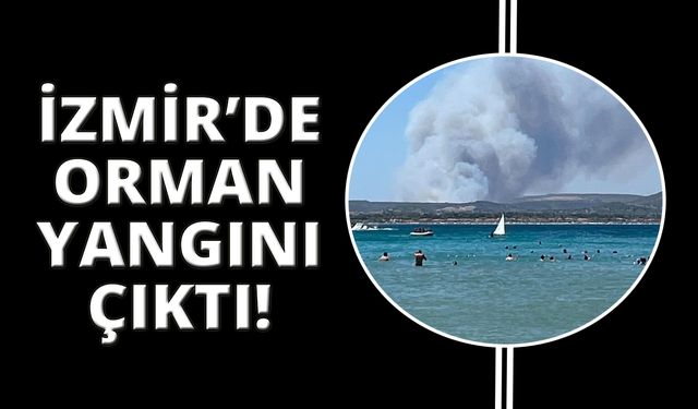 İzmir Çeşme'de orman yangın çıktı