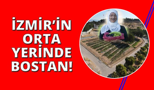 İzmir'de mahalle bostanında hasat başladı