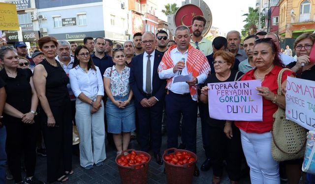 Manisa'da CHP'den domates üreticisine destek eylemi