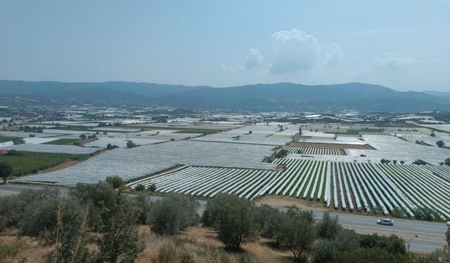 Sarıgöl ovası soğuk hava deposuna dönüştü