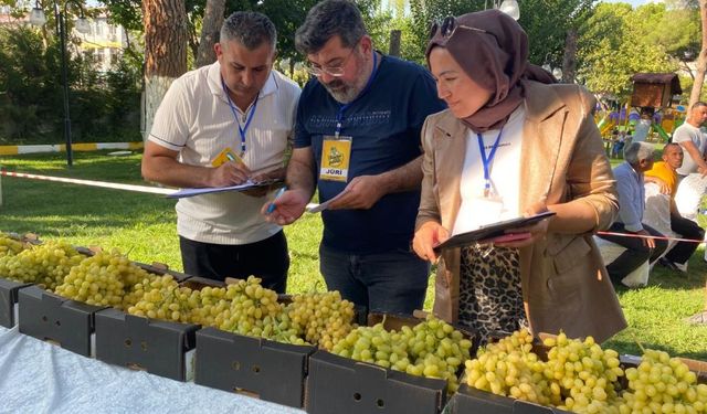 Alaşehir'in en güzel üzümü seçildi