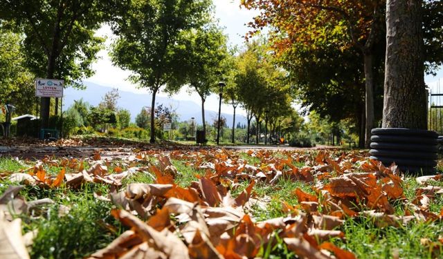 Kent Park'ta sonbahar manzaraları mest etti