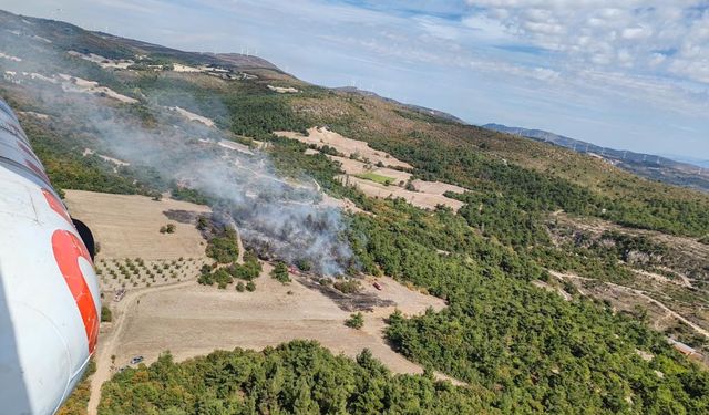 Manisa Kırkağaç'ta orman yangını