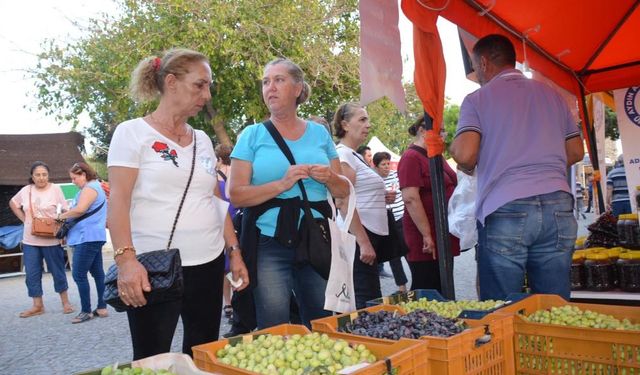 Didim Zeytin Festivali başladı