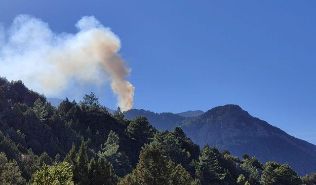 Denizli’deki yangına 6 helikopterle müdahale ediliyor