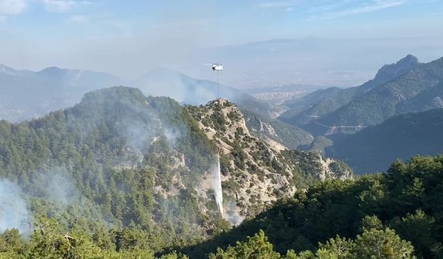 Denizli'deki orman yangını söndürüldü