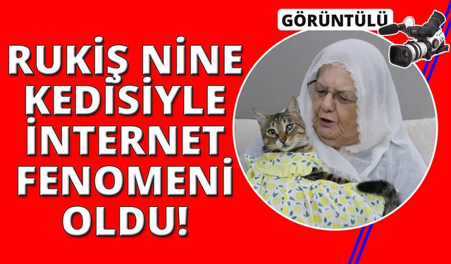 Bebek gibi giydirdiği kedisiyle 82 yaşında fenomen oldu