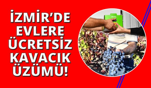 İzmir'de belediye kapı kapı ücretsiz Kavacık Üzümü dağıtıyor