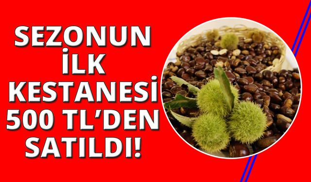 Aydın'dan kestanede ilk hasat yapıldı