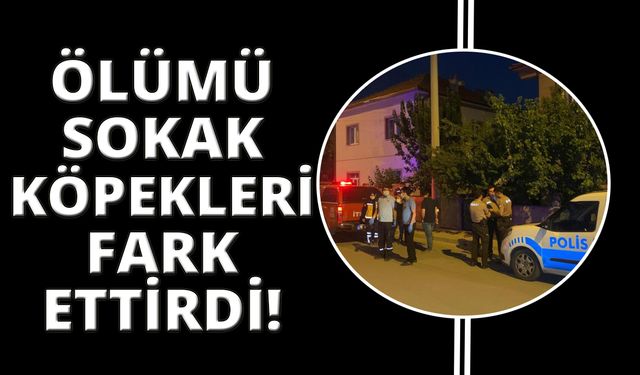 Sokak hayvanlarının duyarlılığı yaşlı adamın cenazesini buldurdu