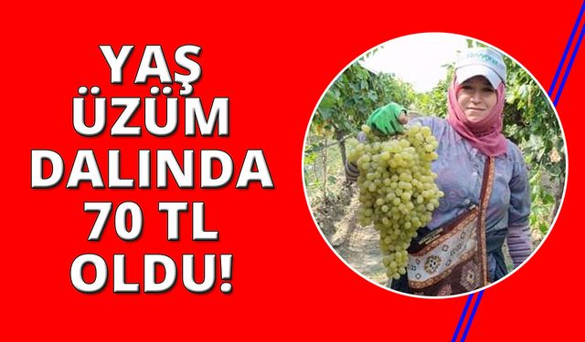 Manisa'da yaş üzümün kilosu 70 lirayı gördü