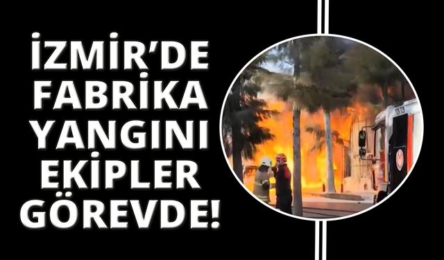 İzmir'de kimya fabrikasında yangın ve patlamalar: 2 yaralı