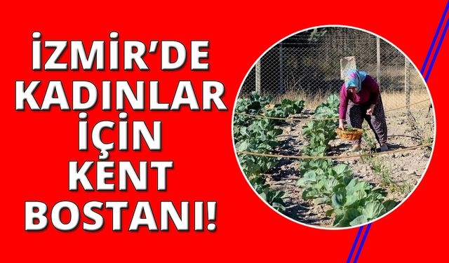 İzmir'in orta yerinde Kent Bostanı! İlk hasat yapıldı