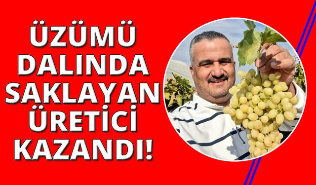 Manisa'da üzüm bağında 60 TL oldu