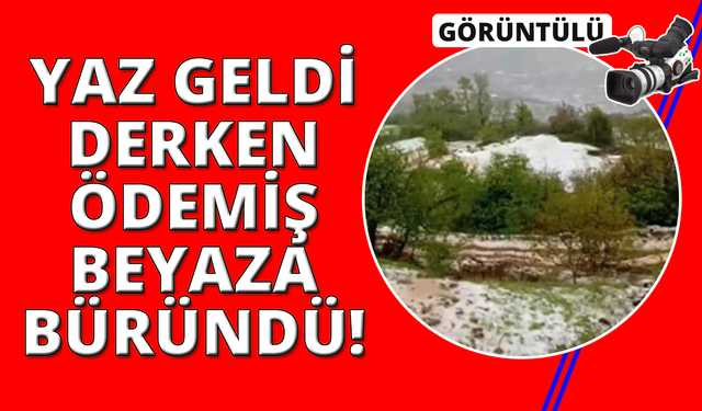 Yaz geldi derken, İzmir Ödemiş beyaza büründü