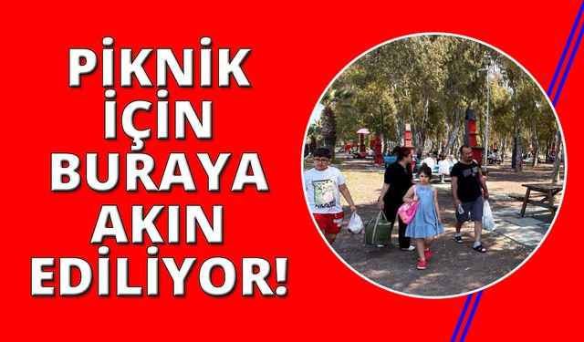 Kuşadası Sevgi Plajı, piknikçilerin yeni buluşma noktası oldu